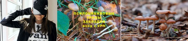 экстази Алексеевка