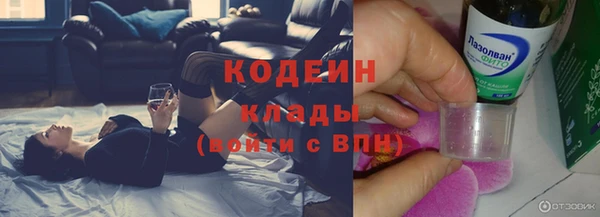 хмурый Абаза