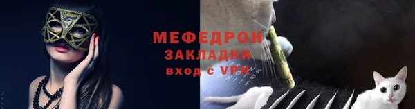МДПВ Пересвет