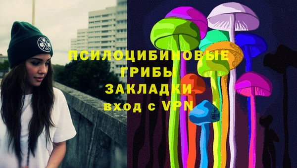 винт Алзамай