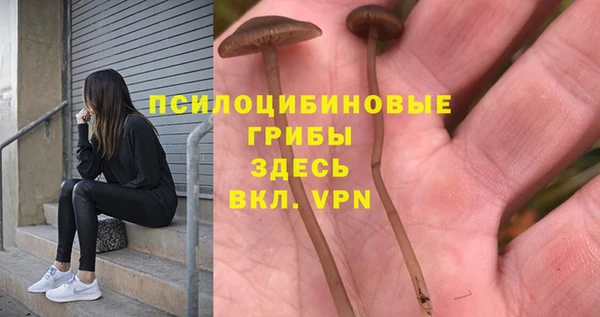 экстази Алексеевка