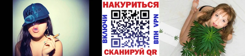 купить наркотик  Новопавловск  Конопля сатива 